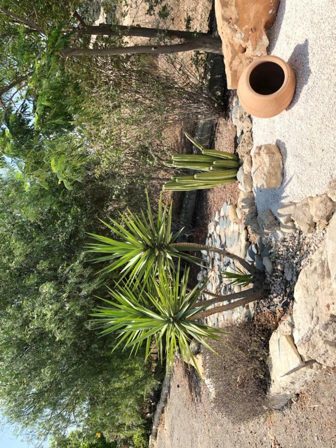 Paradise Traditional House Maroni Ngoại thất bức ảnh
